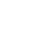 iconeidosos